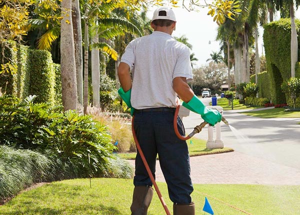 About Anderson Island WA Pest Control